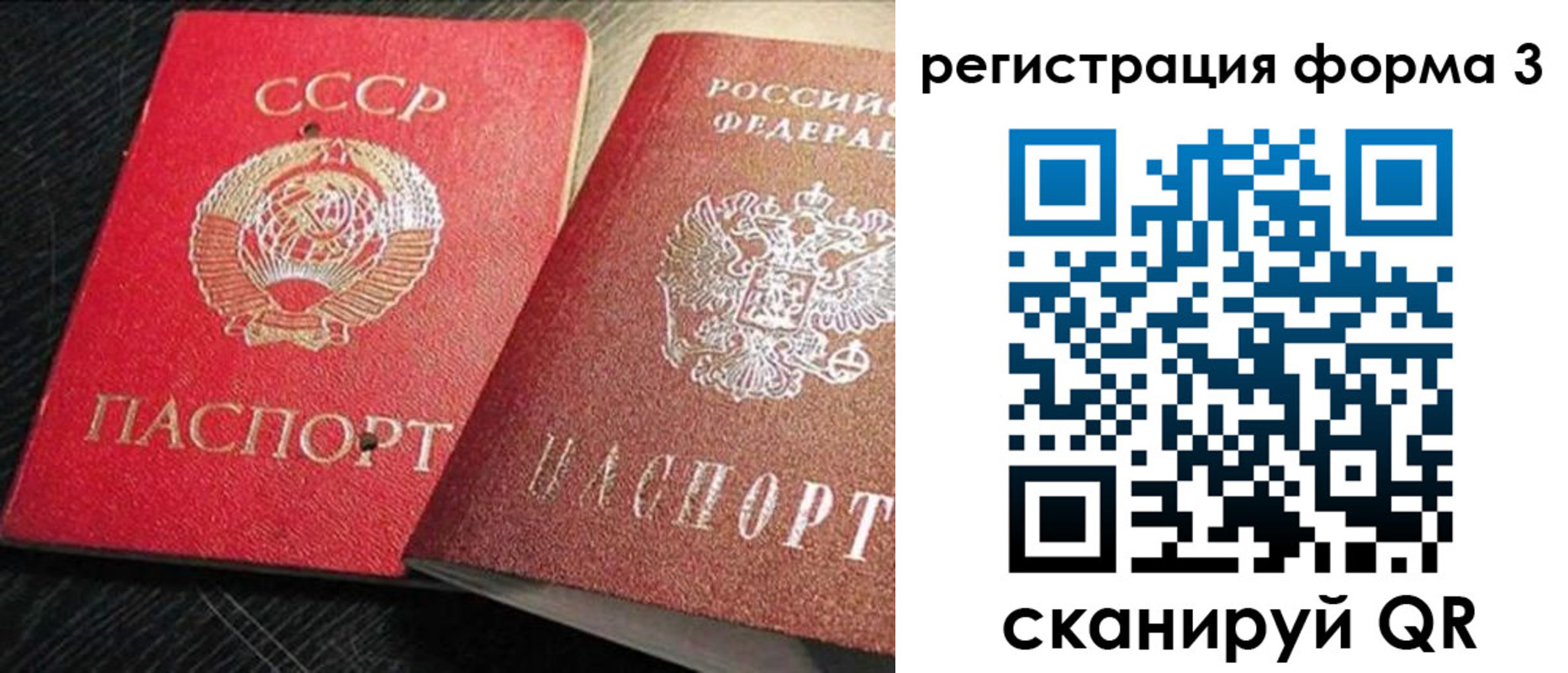 прописка ребенка в Светлогорске