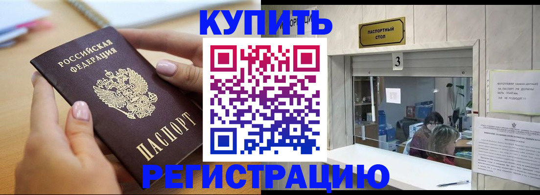 прописка 2025 в Светлогорске